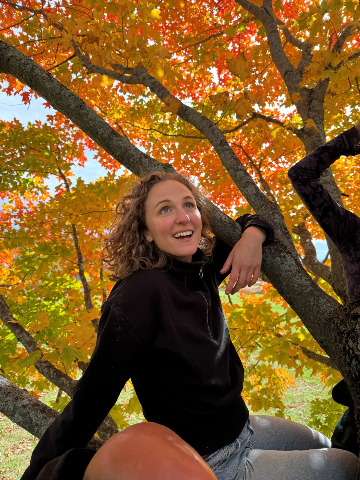 Hope sitting in a maple tree in full orange and yellow autumn colour, arm draped over a branch, smiling upward